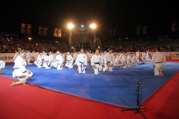 Martial Arts Festival